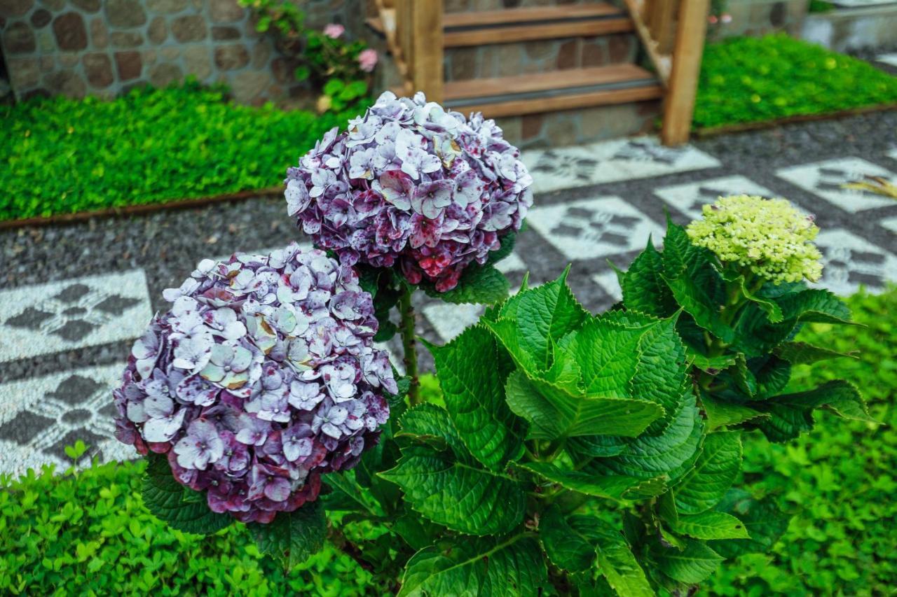 The Polumb Garden Bedugul Hotel Selemadeg Kültér fotó